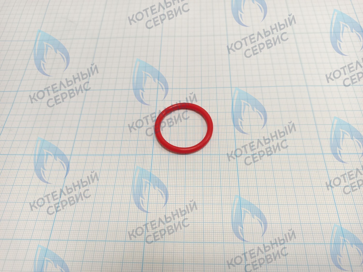 20007016A Кольцо уплотнительное O-ring Navien для фильтра (BH2423087A) в Новосибирске