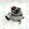 BI1366 102 Вентилятор 24 кВт BIASI Delta 23 SM (BI1366 102) в Новосибирске