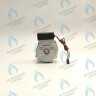 PH-N28CW60-GN95 Двигатель насоса GM-PUMP NVN 15/6 Navien (30000469A, 30000469B, NAPU9GLPCT36) в Новосибирске