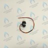 0040109821 Датчик холла с турбинкой Haier Urban 10-24 кВт в Новосибирске