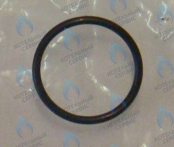 0020097226 Прокладка комплект (10 шт.) PROTHERM в Новосибирске