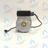 PH-N28CW60-DN95 Двигатель насоса DUCA NP 15-60 Navien (30000469A, 30000469B, NAPU9GLPCT36, 30022723B, 30022723A) в Новосибирске