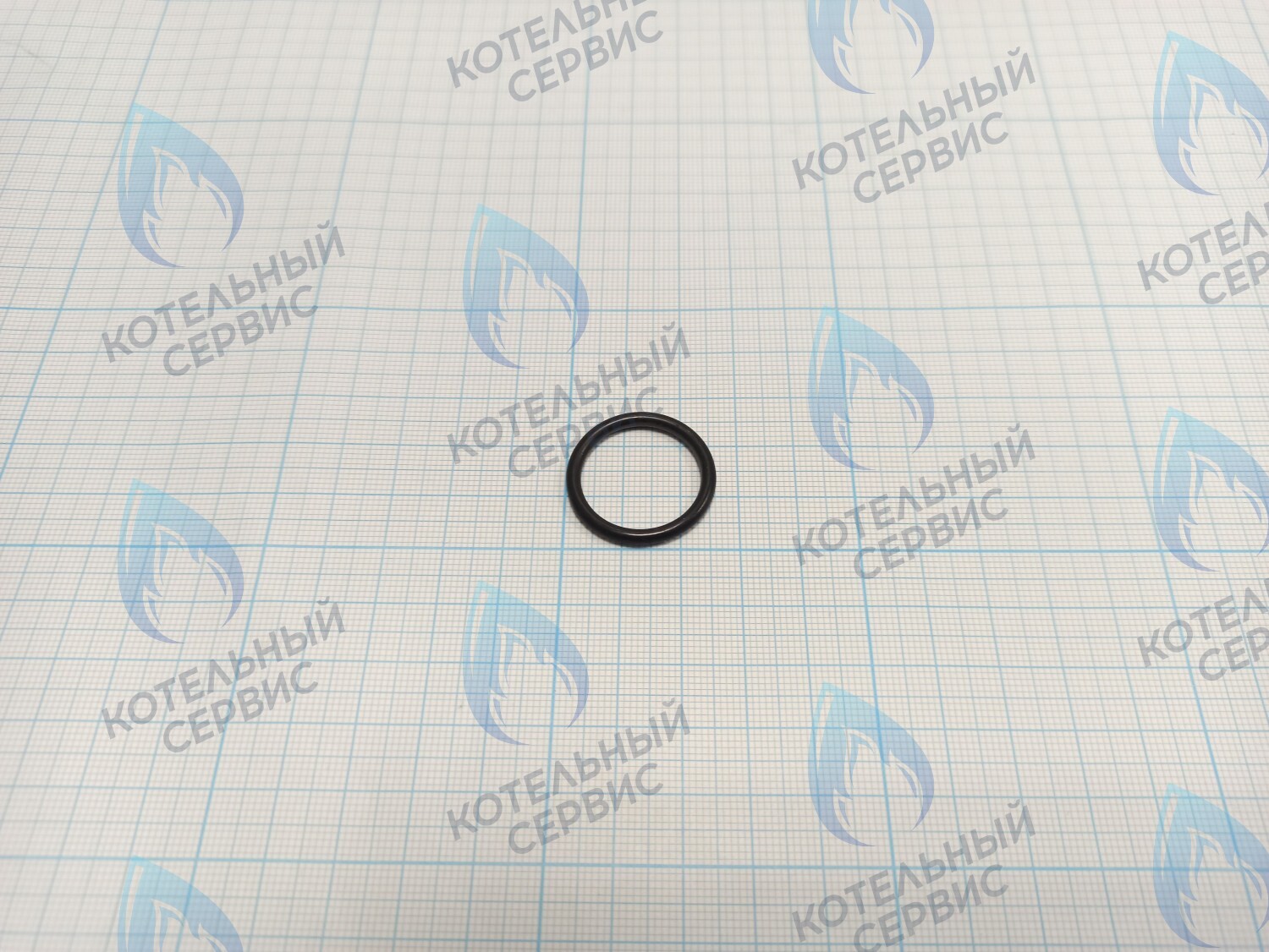 BI1001 130 Прокладка O-Ring 2,6 X 20,6 (BI1001 130) в Новосибирске