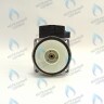 PH-W30CW60-WC86BX-Комп Двигатель насоса 12/6 аналог WILO (без улитки) (12/6, 15/6) WILO 86w MSL 12/6-3 C (30мм по часовой) FERROLI, FONDITAL, BAXI и др в Новосибирске