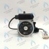 PMV01AG50-DG85-5PIN-Комп Насос циркуляционный PROTHERM (0020094635, 0020078492) / VAILLANT (0020107584) в Новосибирске
