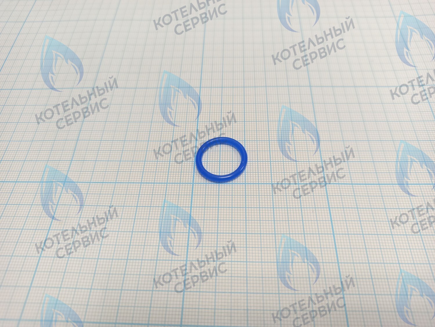 20007019A Кольцо уплотнительное O-ring Navien (SILICONE,P16,Bl) (BH2423090A) в Новосибирске