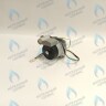 PH-W21CW50-WA82-Комп Двигатель насоса (черный пластик) (без улитки, с терминалом) (12/5, 15/5) аналог WILO 82w INTMSL15/5 HE-1 (21мм по часовой) в Новосибирске