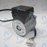 PH-W21CCW67-GW105R-5PIN Двигатель насоса WR15/6.7-2V (против часовой стрелки) PROTHERM Пантера H-RU (0020197549, 0020209790) (замена WILO INTVACL 15/6.7-2) ПАНТЕРА 35 KTV H-RU (0020186162) (замена VACL 15/7) в Новосибирске