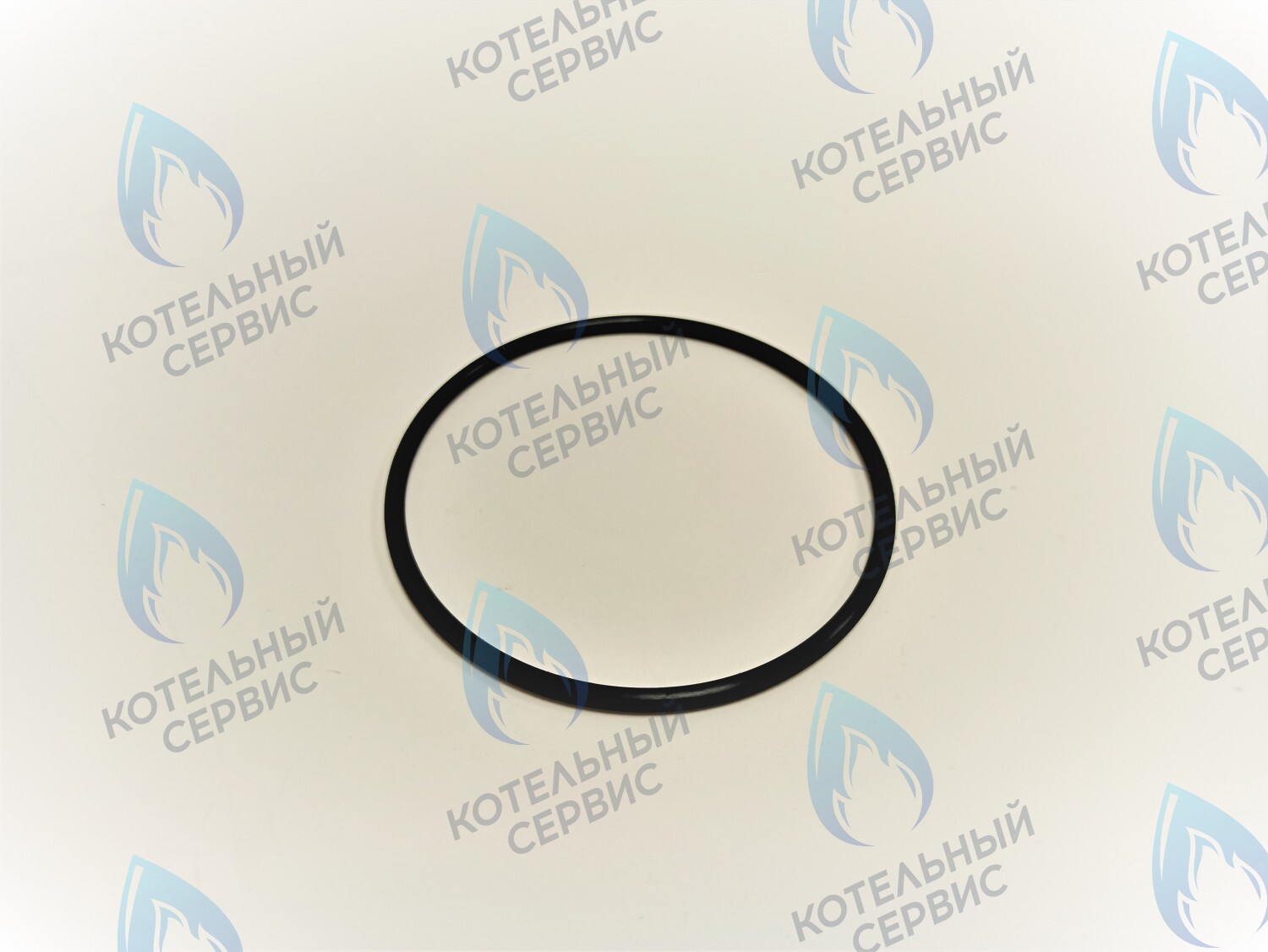 ZR903 Прокладка улитки насоса Daesung, Arderia, Celtic, Master Gas в Новосибирске