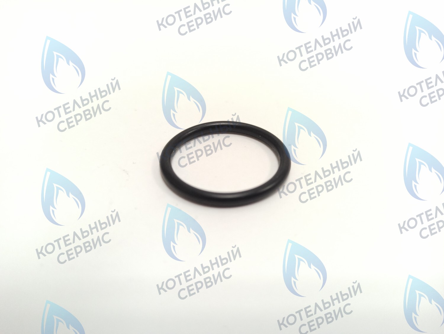 0020118729 Прокладка 23.81 x 2.62 Protherm Lynx (H-RU), Ягуар JTV, Гепард (H-RU) в Новосибирске