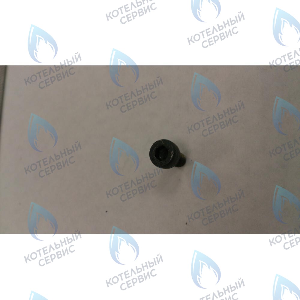 599150076 Винт M4X6 BAXI в Новосибирске