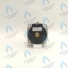PH-W21CW50-WA82-RS2-Комп Двигатель насоса (черный пластик) (без улитки, без терминала, 2 скорости) аналог WILO 82w INTMSL15/5 HE-2 (21мм по часовой) в Новосибирске