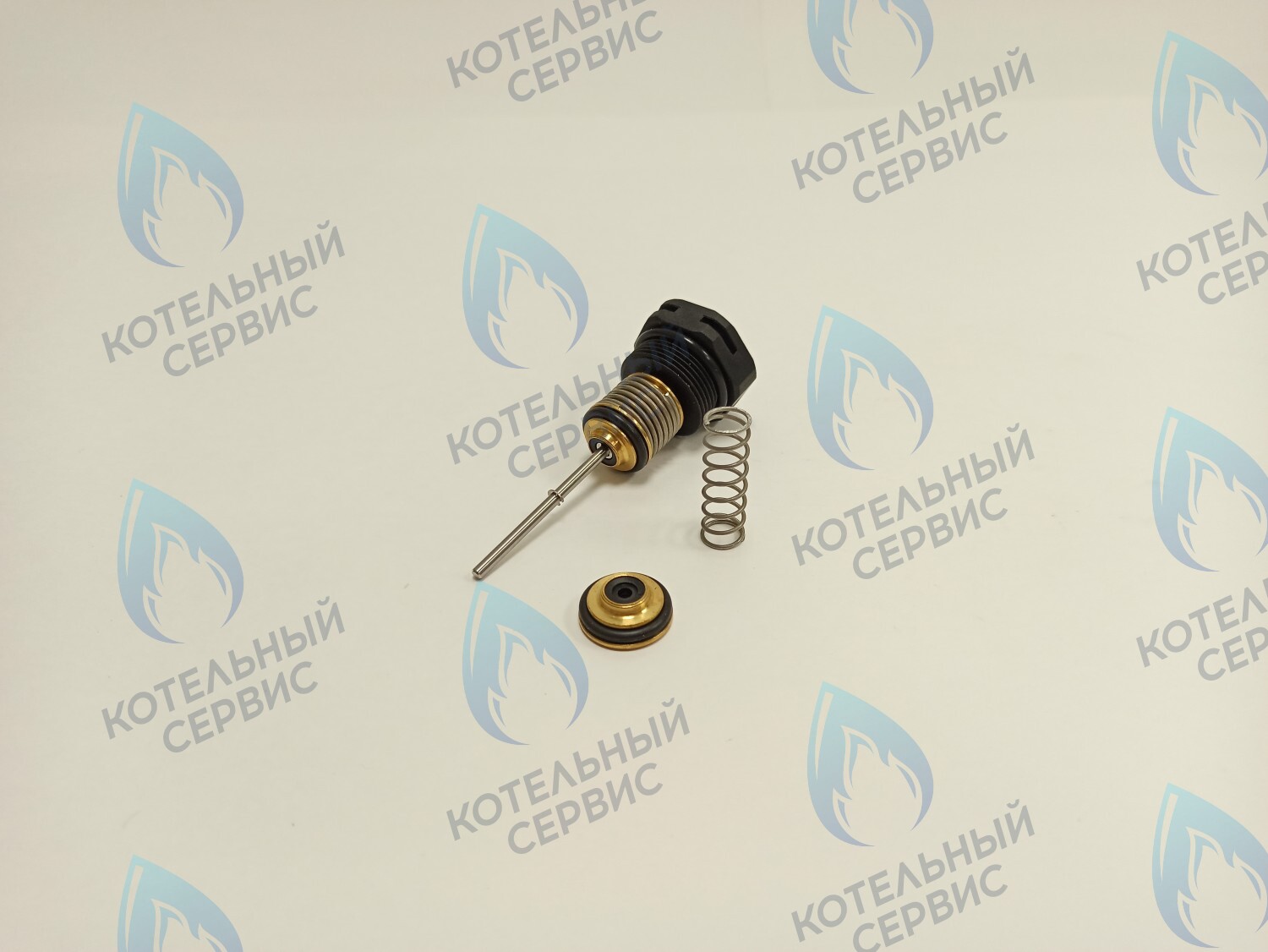 P0000108345 Шток в сборе для котла RE OASIS в Новосибирске