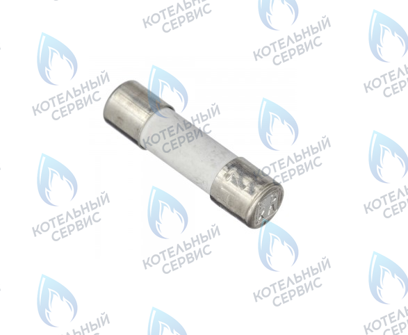 0020067507 Предохранитель 2,0 A T2H (комплект 10шт) VAILLANT в Новосибирске
