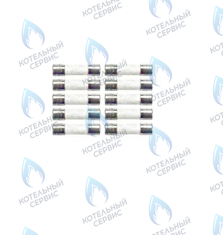 0020067507 Предохранитель 2,0 A T2H (комплект 10шт) VAILLANT в Новосибирске