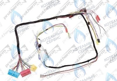 0020098000 Жгут проводов PROTHERM в Новосибирске