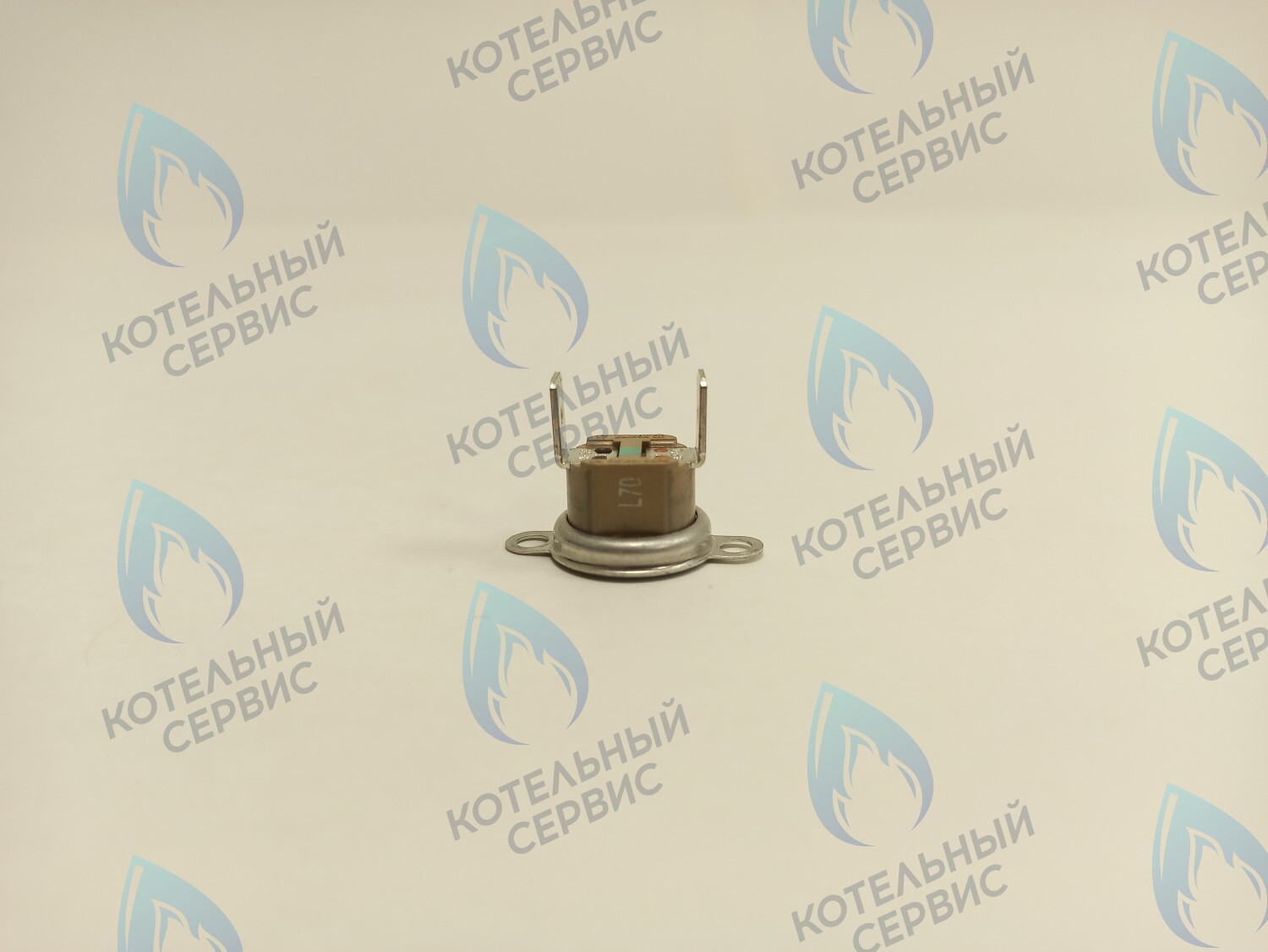 39820770 Термостат дымовых газов аварийный 70С Ferroli в Новосибирске