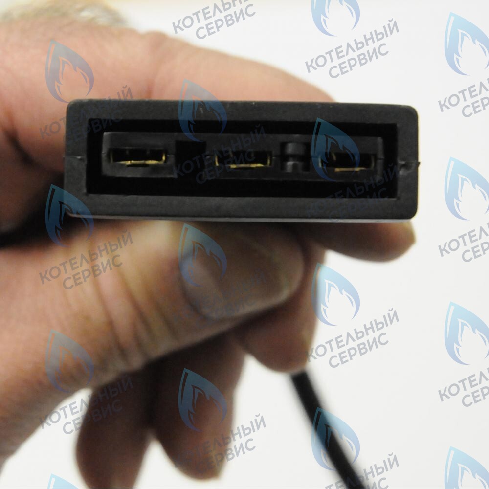 8512270 Проводка электрическая  к насосу и  трехходовому клапану BAXI в Новосибирске