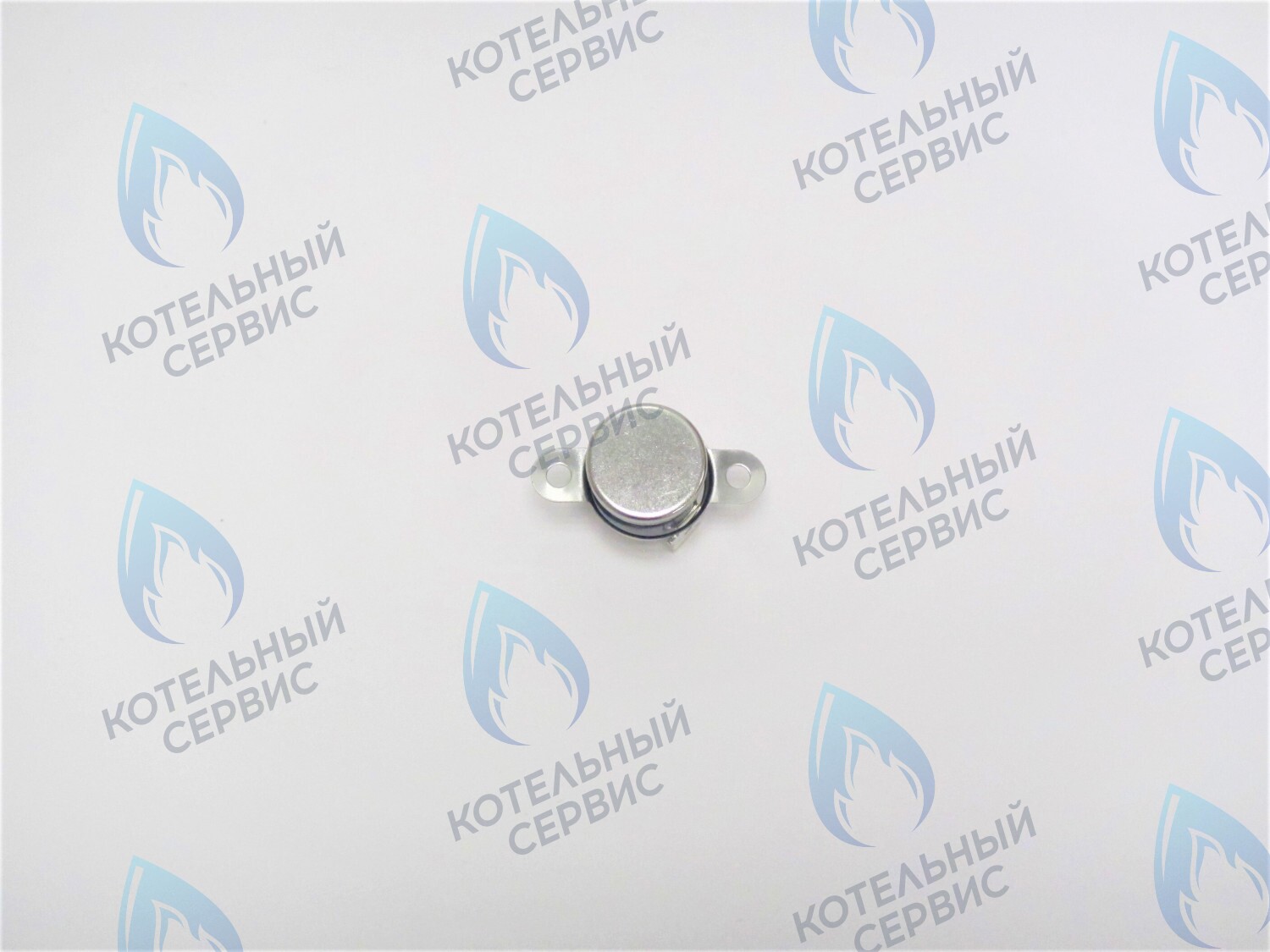 05-5007 Термостат отходящих газов Alpine Light POLYKRAFT в Новосибирске