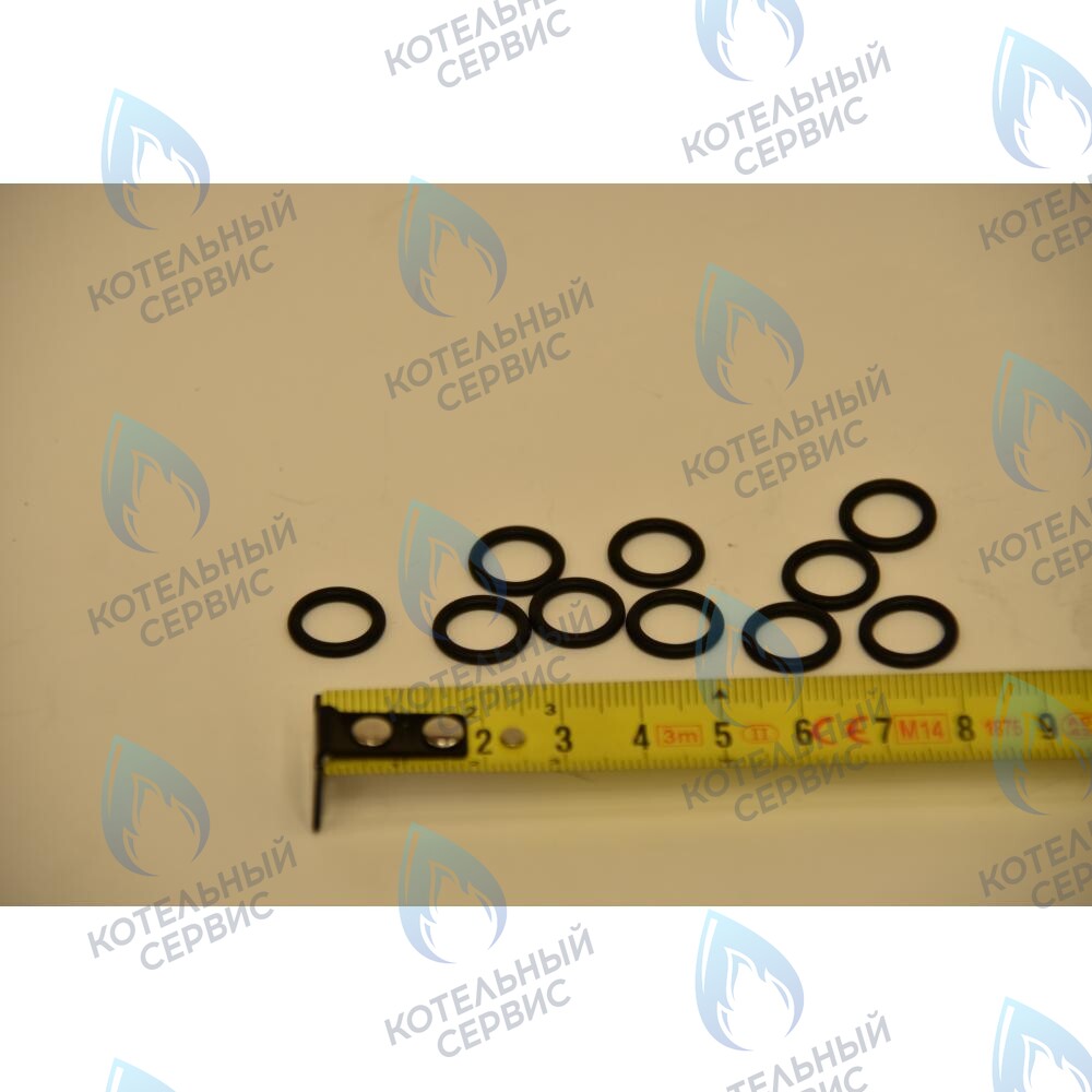 710048800 Уплотнение кольцевое 8,9X1,9 BAXI в Новосибирске