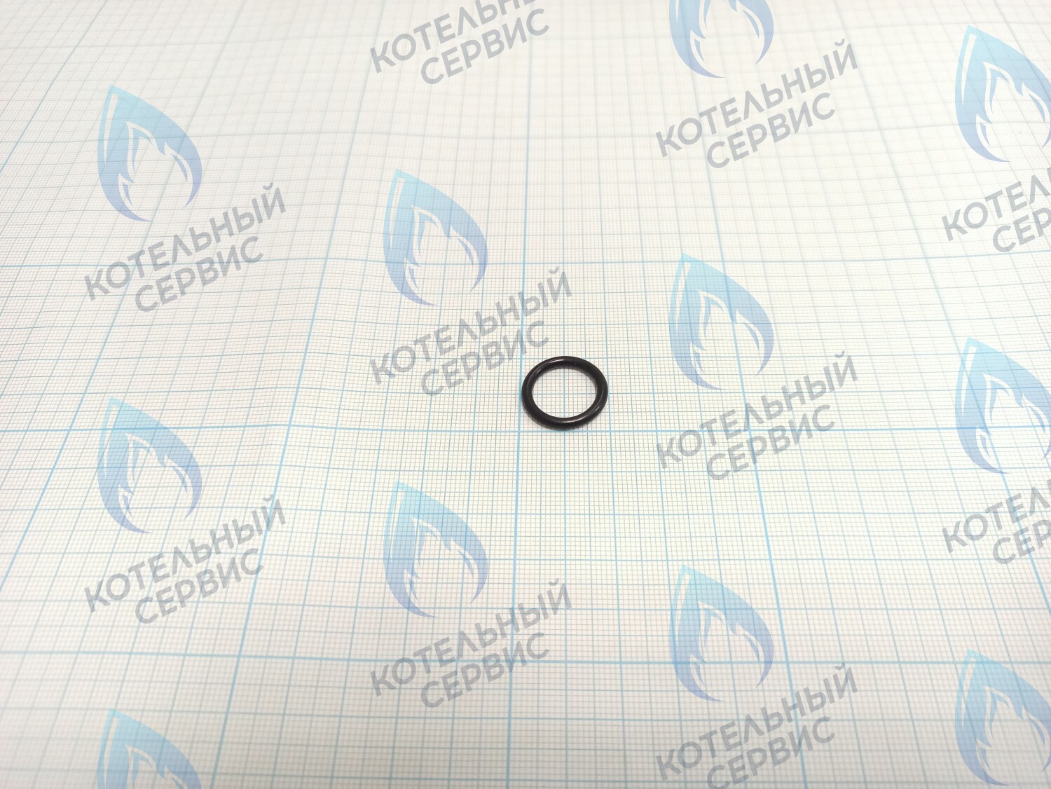 ZR206 Уплотнительное кольцо ГВС 15х2,5 в Новосибирске