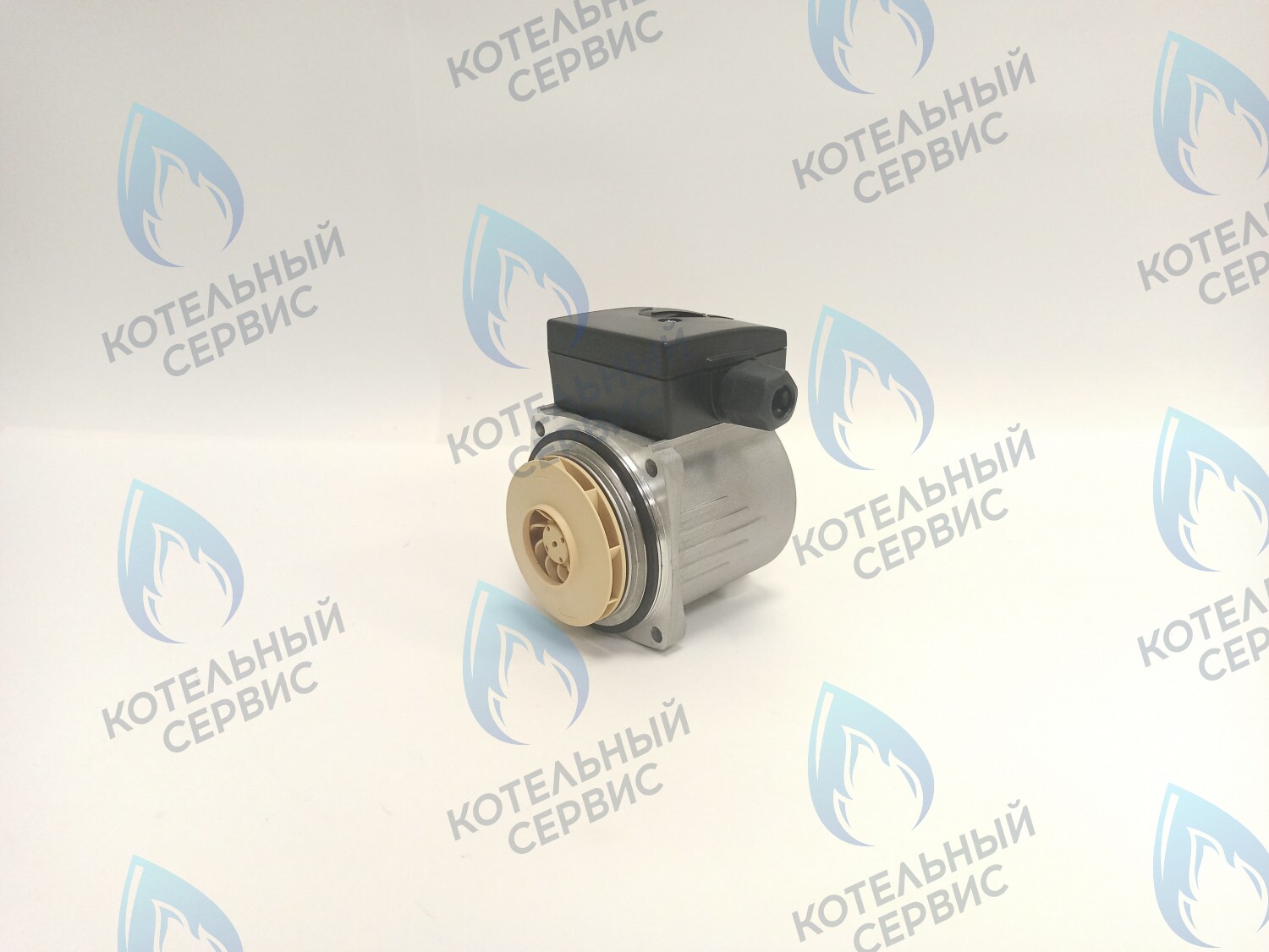 PH-P30CCW50-PR75 Двигатель насоса (против часовой) Protherm 15-50S (0020207146, 0020119604) в Новосибирске