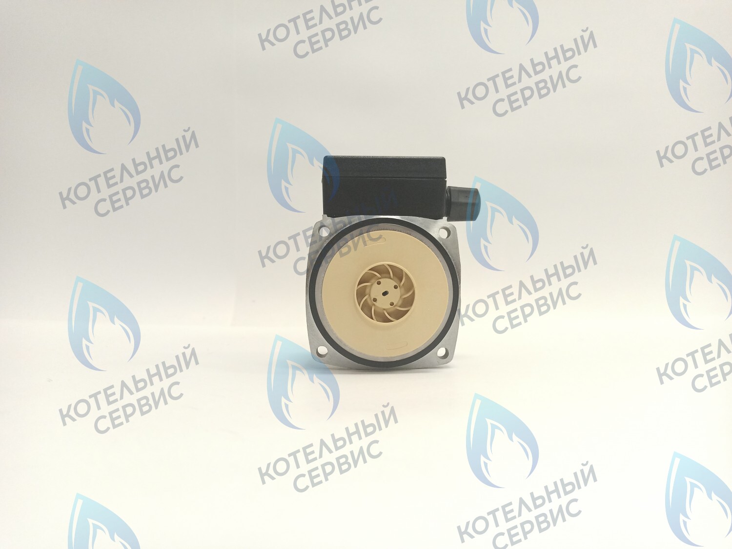 PH-P30CCW50-PR75 Двигатель насоса (против часовой) Protherm 15-50S (0020207146, 0020119604) в Новосибирске