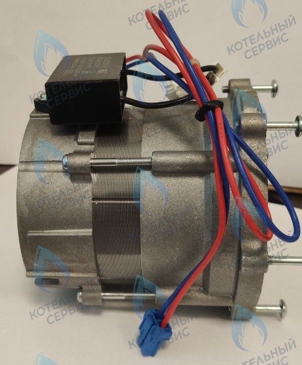 PH-S26CCW70-NK100-NI Двигатель циркуляционного насоса NANOKEM в Новосибирске
