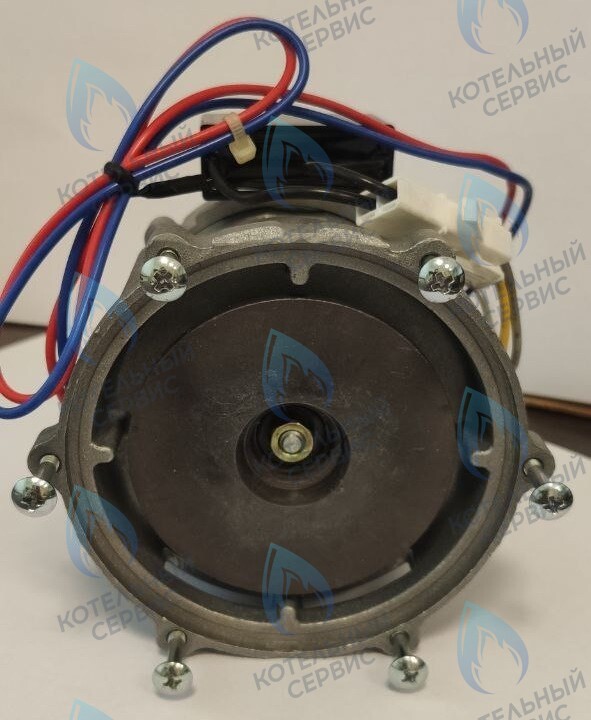 PH-S26CCW70-NK100-NI Двигатель циркуляционного насоса NANOKEM в Новосибирске