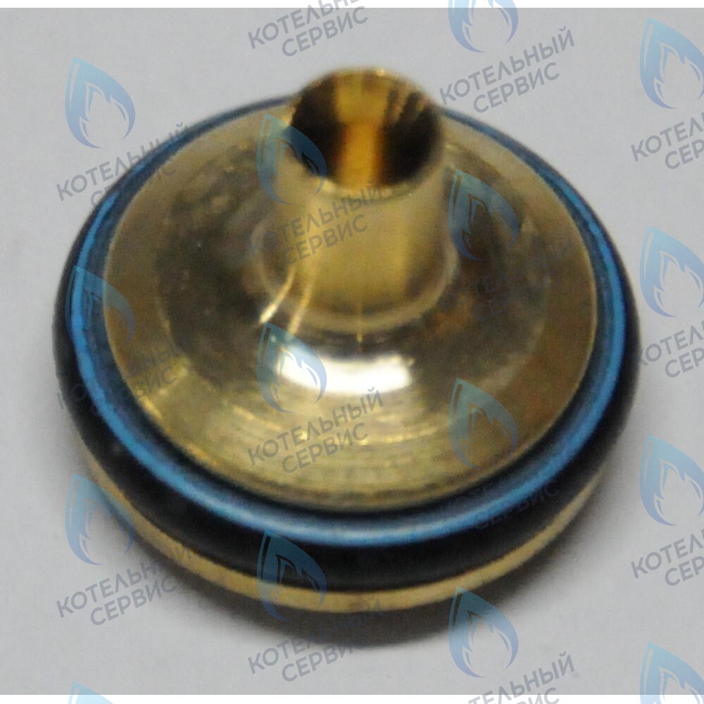 605760 тарелочка системы отопления в сборе BAXI в Новосибирске