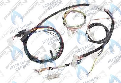 0020044908 Жгут проводов 24BTV17 PROTHERM в Новосибирске