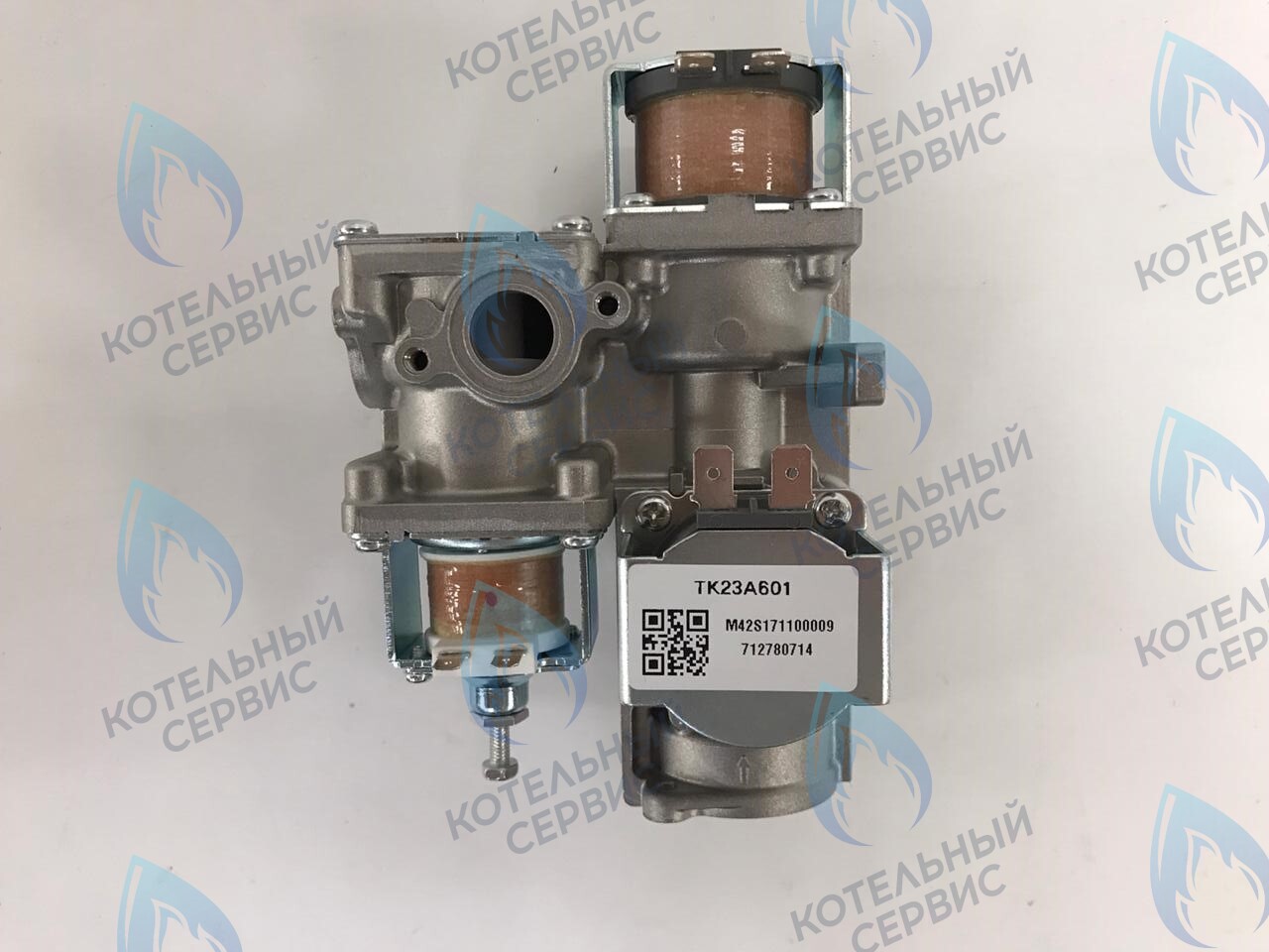S171100009 Газовый клапан TK-23_220V ELSOTHERM серия B 13/16/20 в Новосибирске
