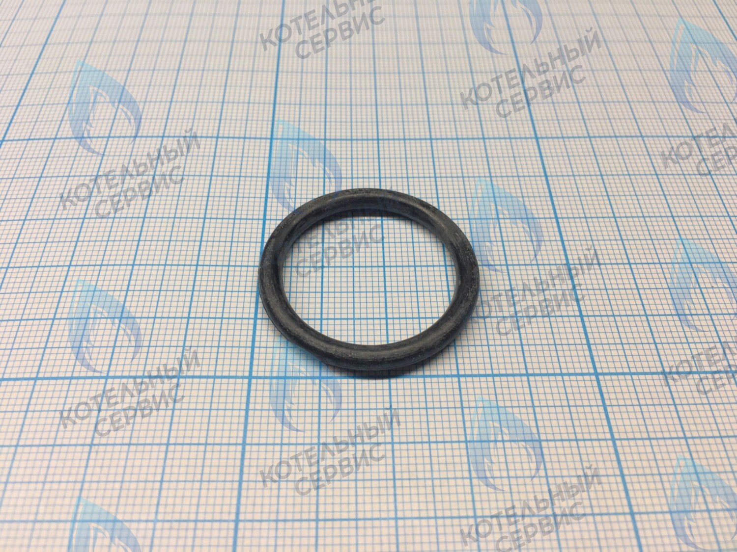3080016 Кольцо уплотнительное насоса  CELTIC-DS PLATINUM (все модели) (3080016) в Новосибирске