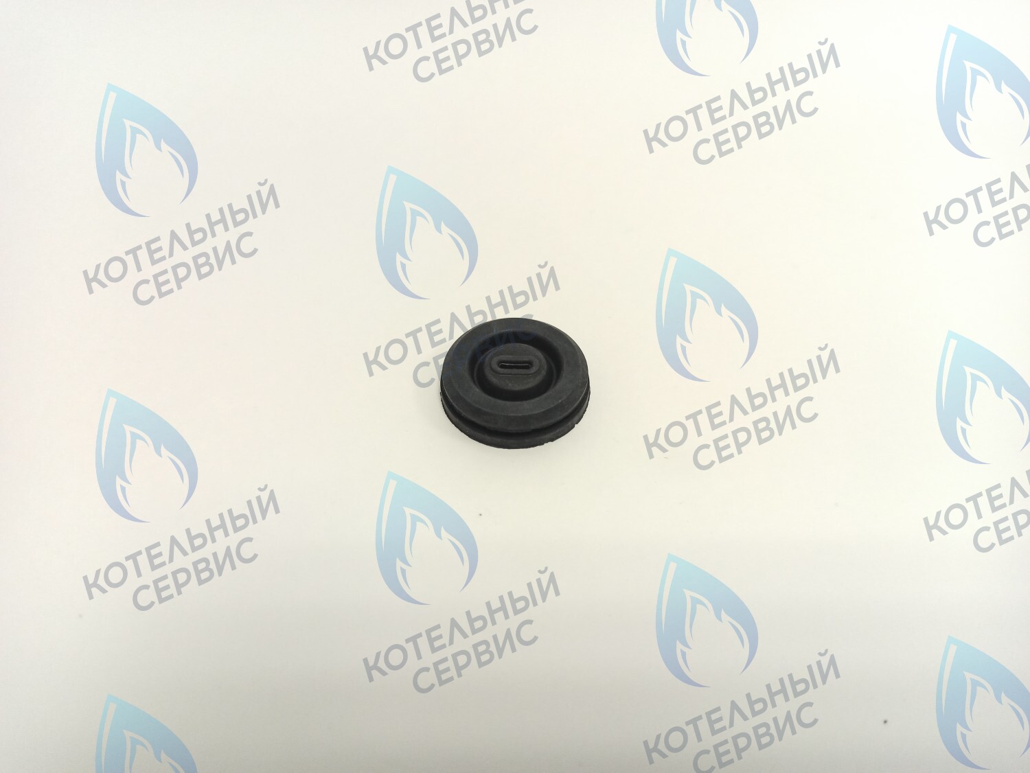 BI1002 115 Уплотнительное кольцо электро кабелей (BI1002 115) BIASI в Новосибирске
