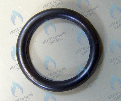 0020020741 Прокладка PROTHERM в Новосибирске