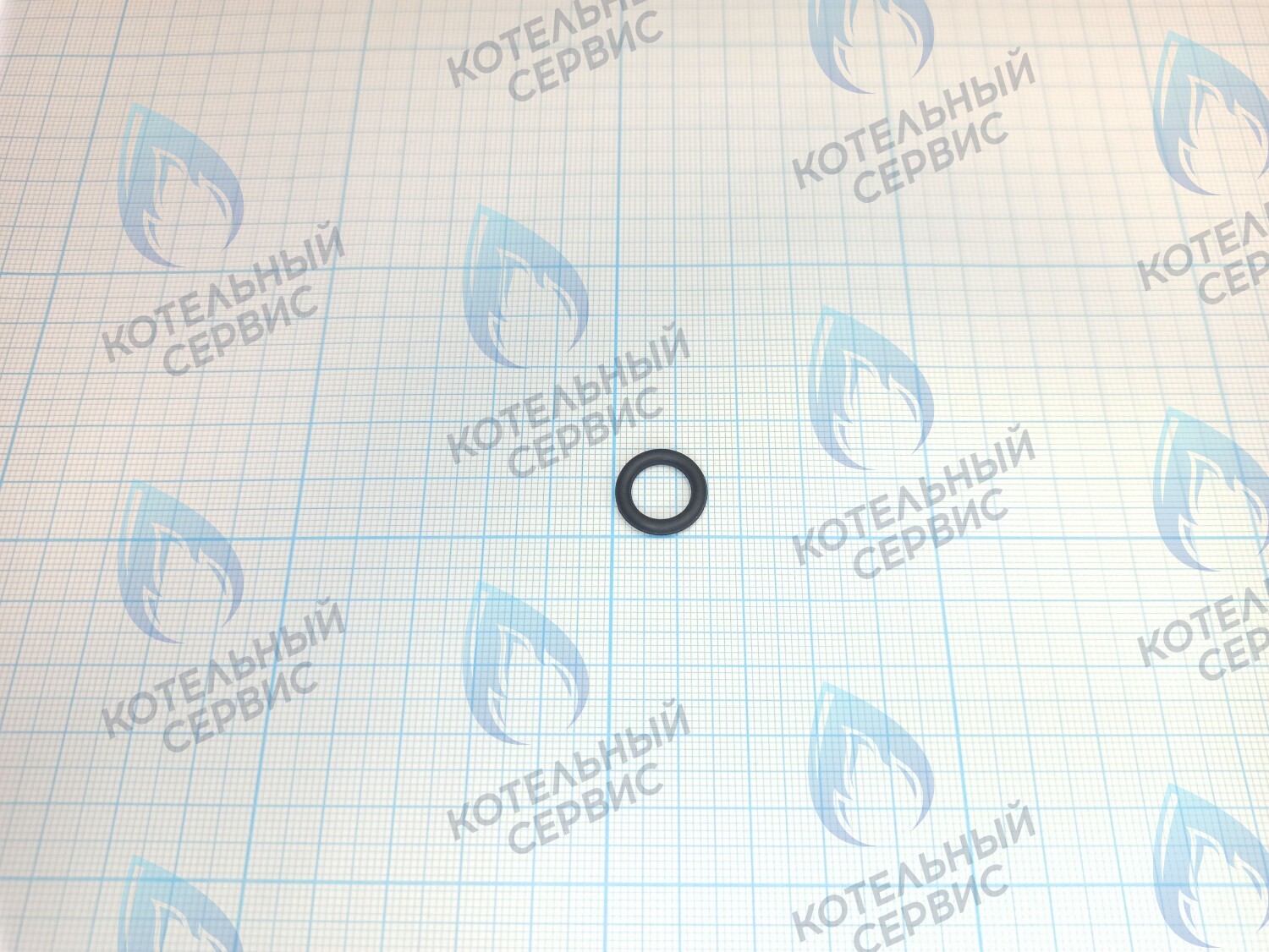 TY02020034 Прокладка O-Ring 9.5*2.5 для датчика давления (TY02020034) ROYAL THERMO в Новосибирске