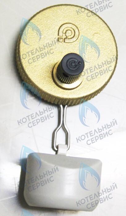 0020035044 Клапан воздухоотводчика PROTHERM в Новосибирске