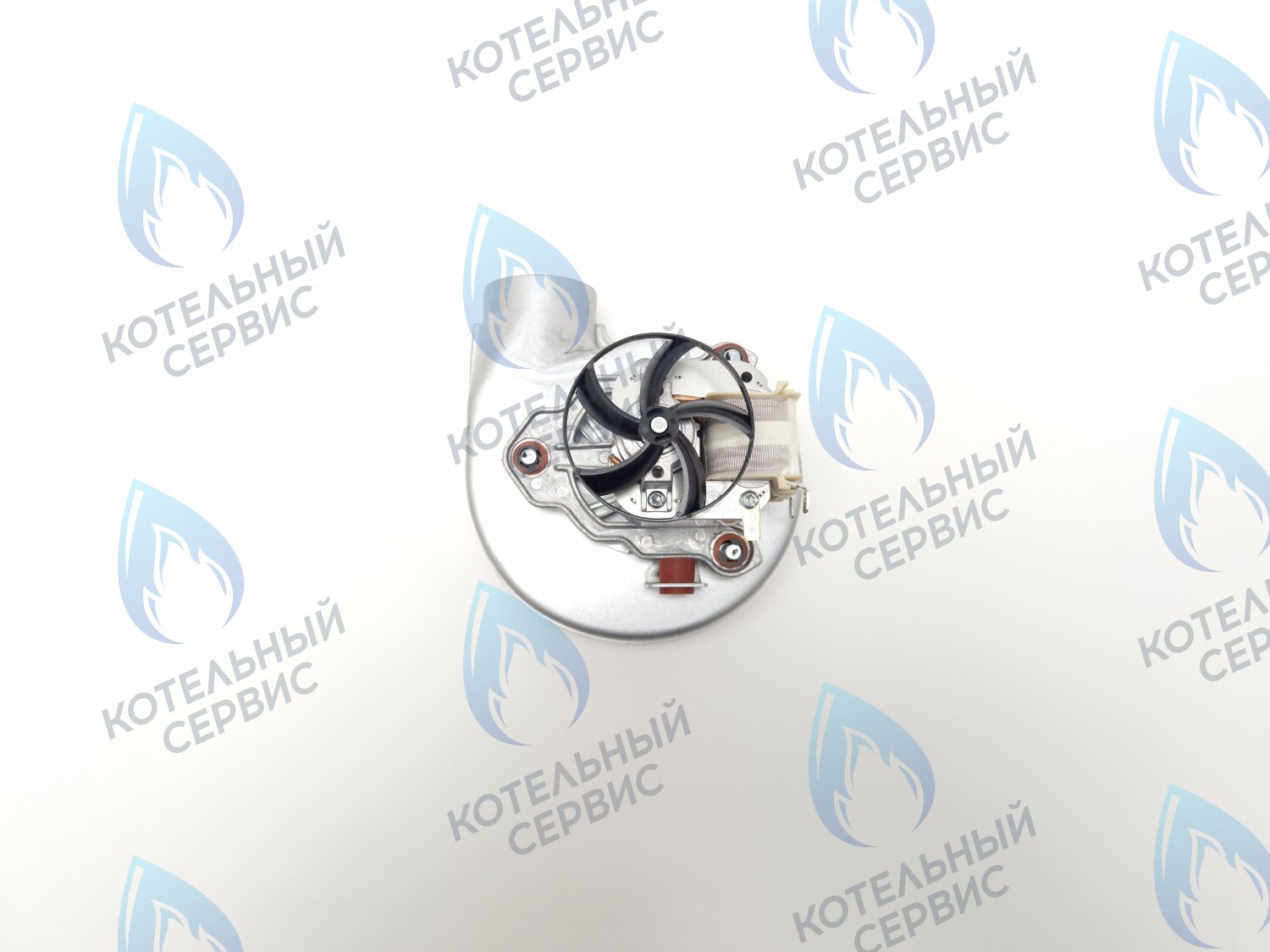 7733818 Вентилятор BAXI ECO LIFE 31F в Новосибирске