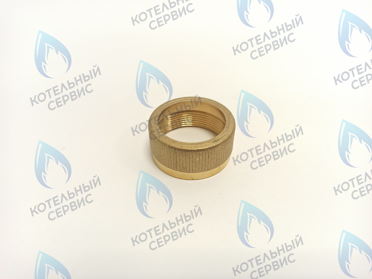 GGT101 Крепление мотора к трехходовому клапану VAILLANT в Новосибирске