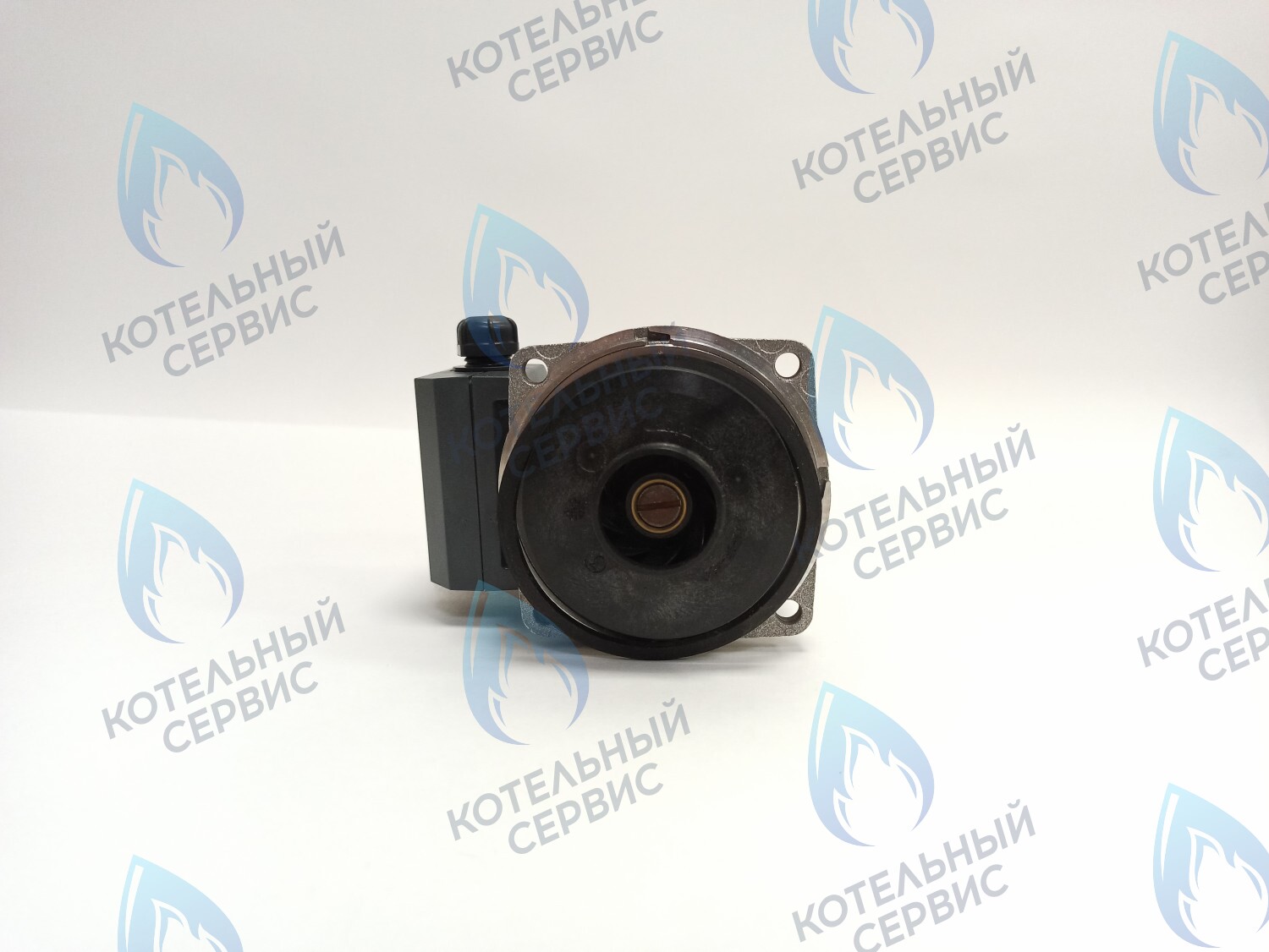 PH-W30CW60-WL93BX Двигатель насоса (без улитки) WILO RS 15/6 93w (30мм по часовой) FERROLI, FONDITAL, BAXI и др в Новосибирске