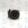 PH-W30CW60-WL93BX Двигатель насоса (без улитки) WILO RS 15/6 93w (30мм по часовой) FERROLI, FONDITAL, BAXI и др в Новосибирске