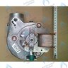 5682150 Вентилятор BAXI FOURTECH, ECO (Four, 4s), MAIN, MAIN (Four, Digit) 18-24 F в Новосибирске