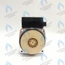 PH-P30CCW60-GB120 Двигатель насоса (против часовой) DD15-60 для Protherm (0020119604, 0020207146) в Новосибирске