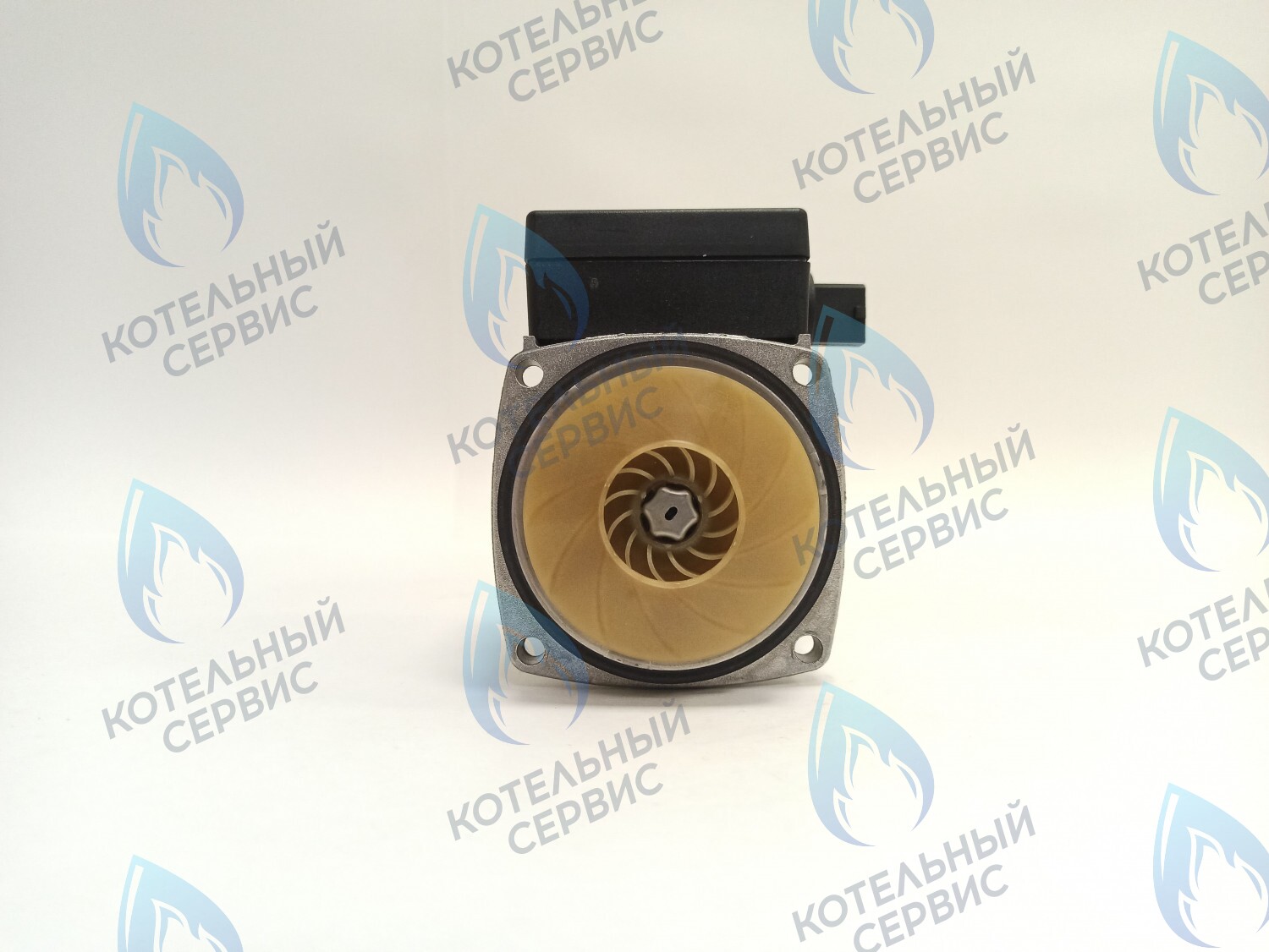 PH-G30CCW50-GR75-FL Двигатель насоса GRUNDFOS 15-50 75w с коннектором в Новосибирске