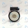 PH-W30CW50-GW95BX Двигатель насоса PUMP WA15/5 (без улитки) (по часовой стрелке) 15/5 (замена WILO 15/5 BAXI, NEVALUX, THERMONA, PROTHERM СКАТ K11) в Новосибирске