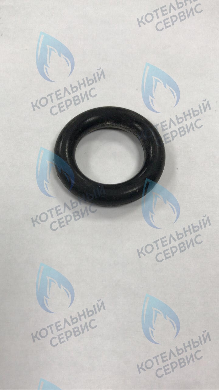 39864460 Прокладка O-ring циркуляционного насоса FERROLI (RU) в Новосибирске