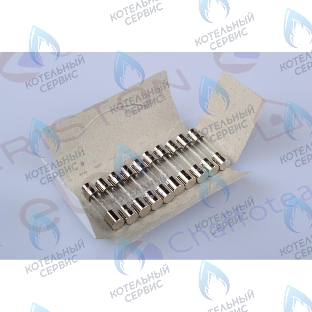 61003456 Предохранитель 250v 2a CHAFFOTEAUX в Новосибирске