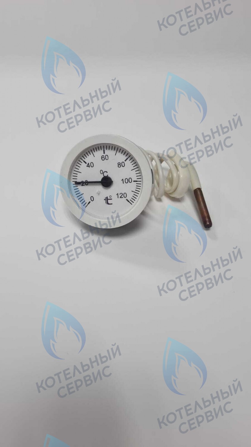 ST002-02 Термометр капиллярный круглый белое кольцо d 51,5 мм, длина капилляра 550 мм, 0-120С в Новосибирске