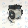 P0000000991 Циркулирующий водяной (циркуляционный) насос OASIS GPD 15-5S Z027 (Р0000000991) в Новосибирске