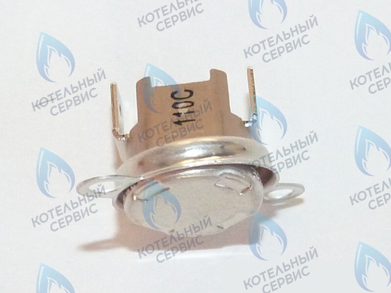 87172061620 Ограничитель нагрева STB 110°C U02X/U04X/U05X/ZSA/ZWA/ZWE BUDERUS в Новосибирске